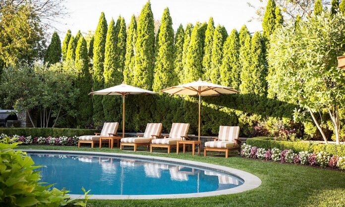 Pool Side with greenery